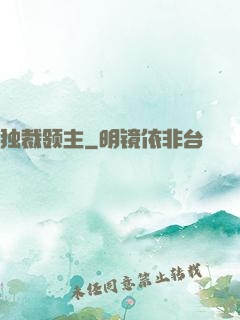 独裁领主