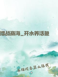 猎战商海