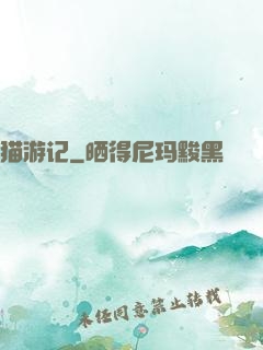 猫游记