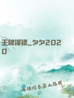 王牌保镖