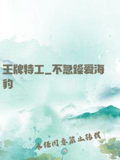 王牌特工