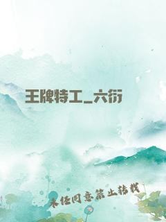 王牌特工