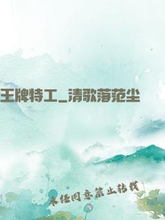 王牌特工