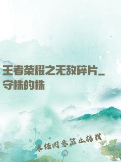 王者荣耀之无敌碎片