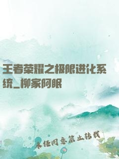 王者荣耀之极限进化系统