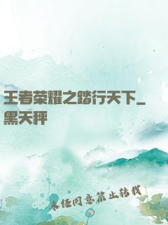 王者荣耀之踏行天下
