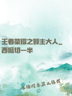 王者荣耀之领主大人