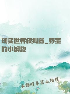 现实世界模拟器