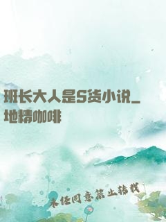 班长大人是S货小说