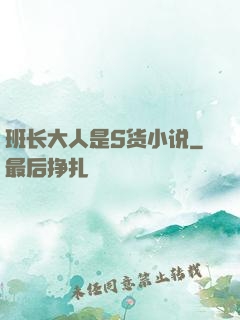 班长大人是S货小说