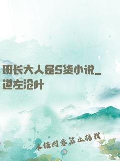 班长大人是S货小说