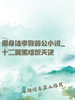 用身体孝敬翁公小说