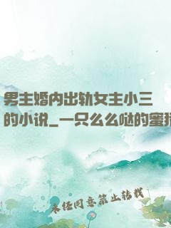 男主婚内出轨女主小三的小说