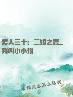 男人三十：二婚之妻