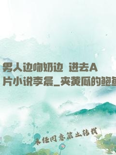 男人边吻奶边挵进去A片小说李晨