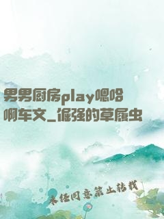 男男厨房play嗯哈啊车文