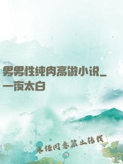 男男性纯肉高做小说