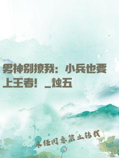 男神别撩我：小兵也要上王者！