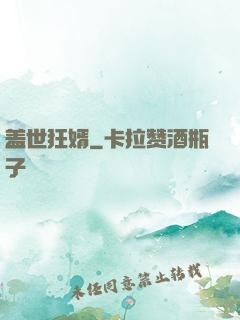 盖世狂婿
