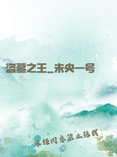 盗墓之王