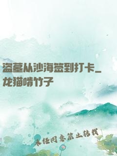 盗墓从沙海签到打卡