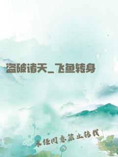 盗破诸天