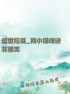 盛世捡漏