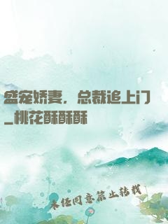 盛宠娇妻，总裁追上门