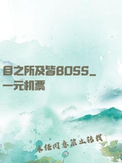 目之所及皆BOSS