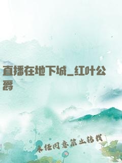 直播在地下城