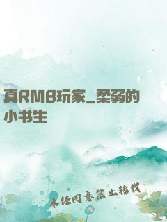 真RMB玩家