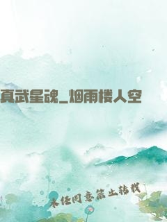 真武星魂