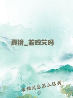真镜