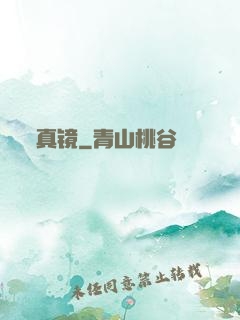 真镜