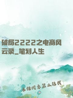 破局2222之电商风云录