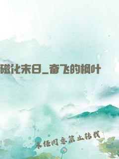 磁化末日