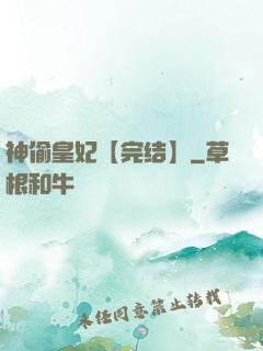神偷皇妃【完结】