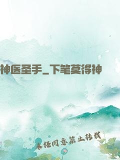 神医圣手