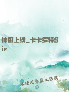 神厨上线