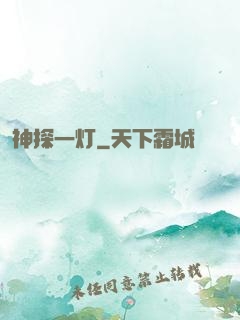 神探一灯