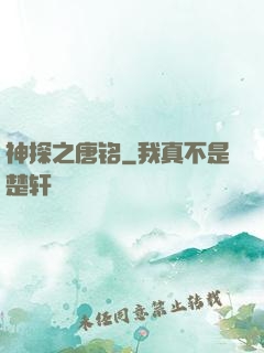 神探之唐铭