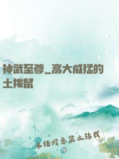 神武至尊
