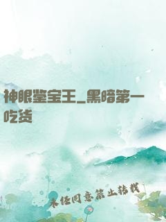 神眼鉴宝王
