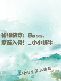 神级快穿：Boss，撩宠入骨！