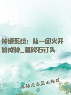 神级系统：从一团火开始成神