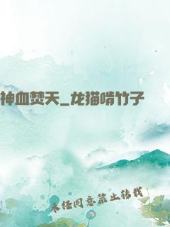 神血焚天
