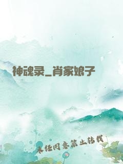 神魂录