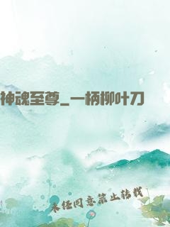 神魂至尊