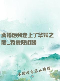 离婚后我走上了华娱之巅