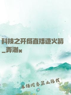 科技之开局直播造火箭